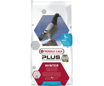 411056 Plus I.C.+ Winter